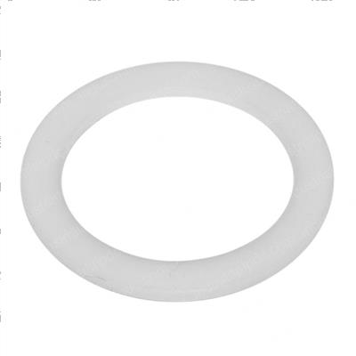 Picture of Seal