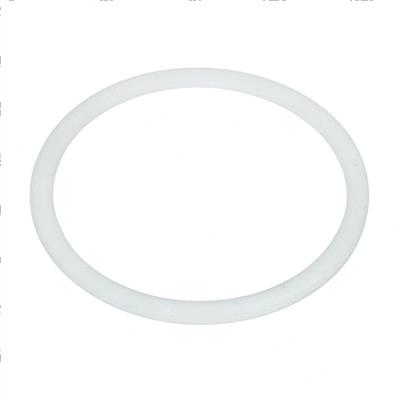 Picture of Seal