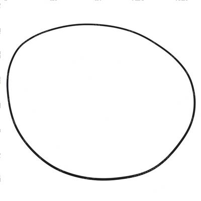 Picture of O-Ring
