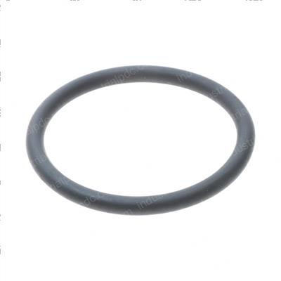 Picture of O Ring