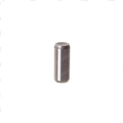 Picture of Pin