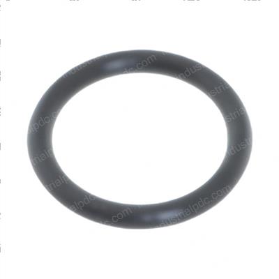 Picture of O-Ring