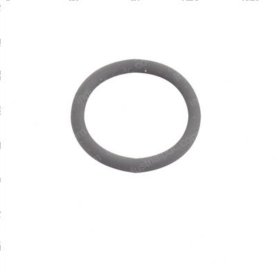 Picture of O-Ring