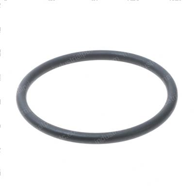 Picture of O-Ring