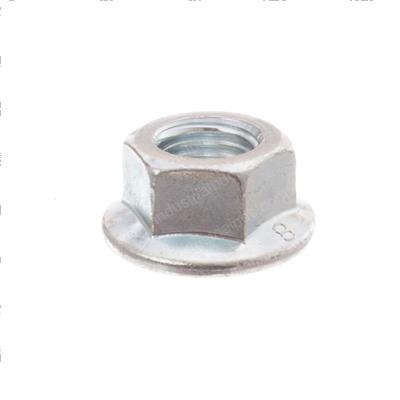 Picture of Nut Flange