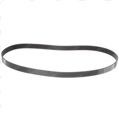 Picture of Belt - Serpentine