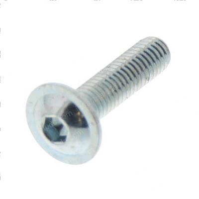 Picture of Screw