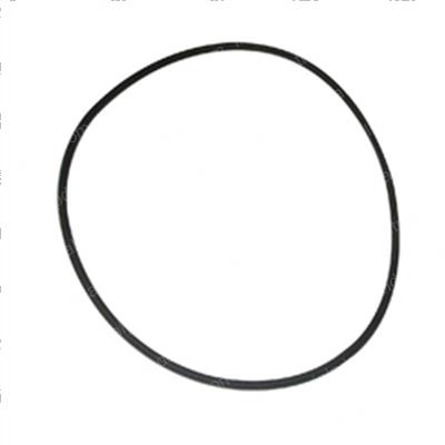 Picture of O-Ring