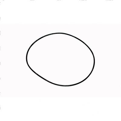Picture of O-Ring