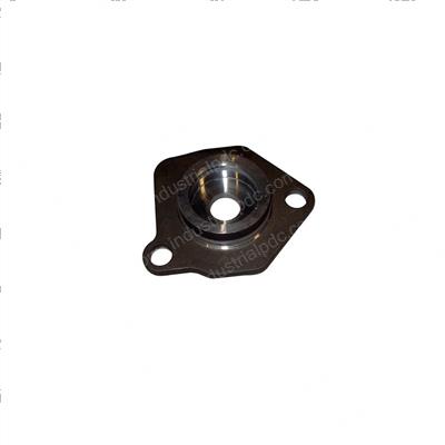 Picture of Plate