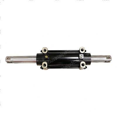 Picture of Cylinder Assembly - Rear