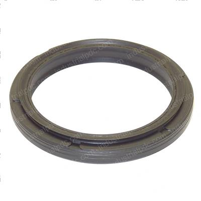Picture of Seal - Dust