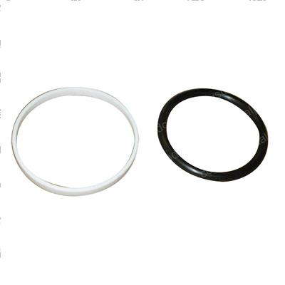 Picture of Seal - Ring