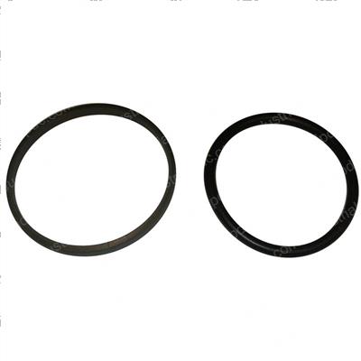 Picture of Seal
