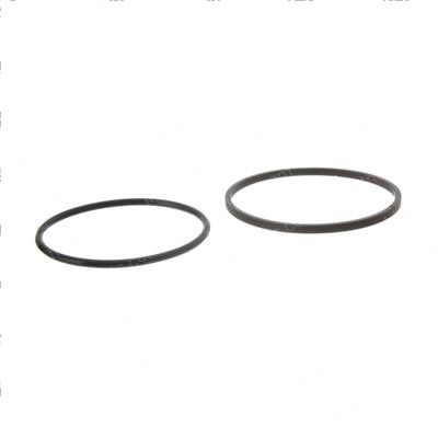 Picture of Seal - Ring