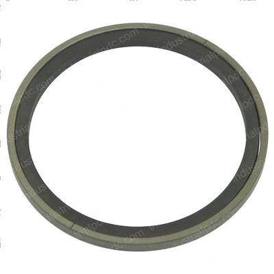 Picture of Seal