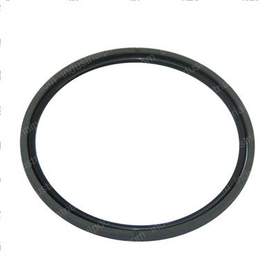 Picture of Seal- Ring