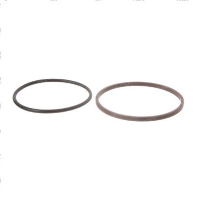 Picture of Seal - Ring