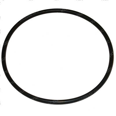 Picture of O-Ring
