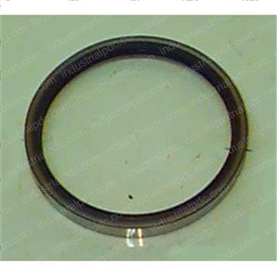 Picture of Seal - Oil