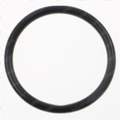 Picture of O-Ring
