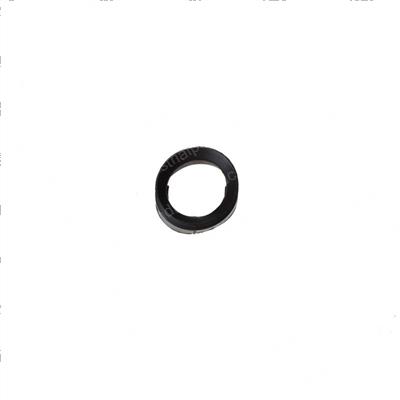 Picture of Seal