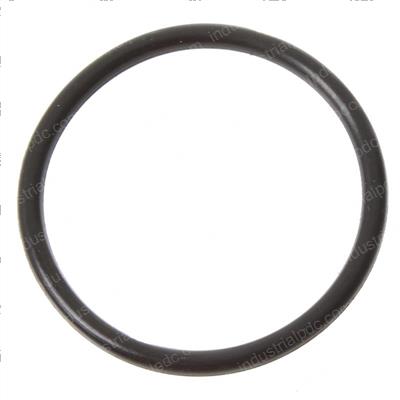 Picture of O-Ring