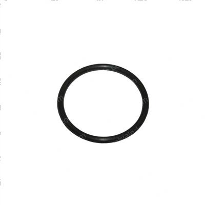 Picture of O-Ring