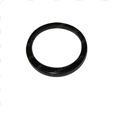 Picture of Seal Dust