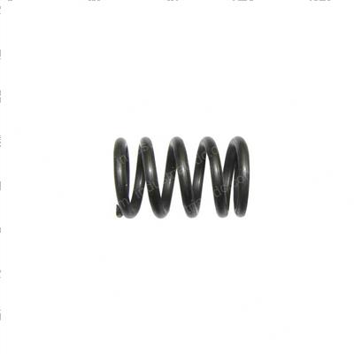 Picture of Spring - Brake
