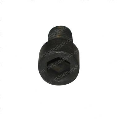 Picture of Bolt