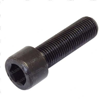 Picture of Bolt