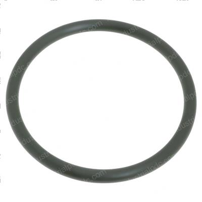 Picture of O-Ring