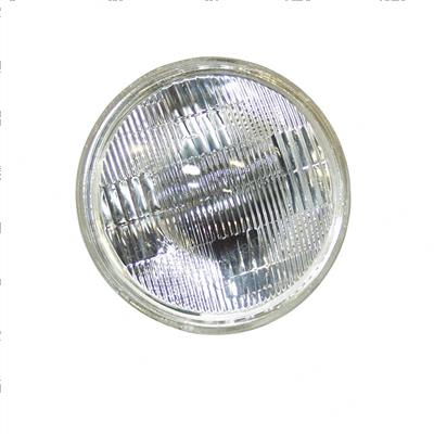 Picture of Bulb - Par 46