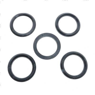 Picture of V-Packing Set