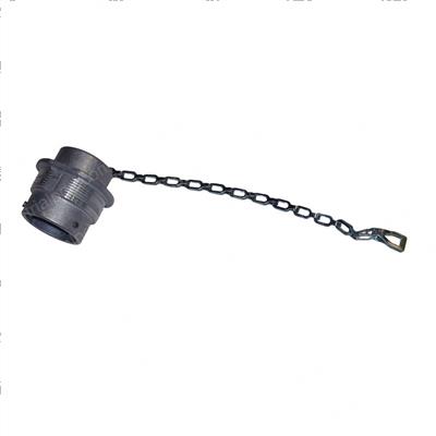 Picture of Terminal Dust Cap Recpt