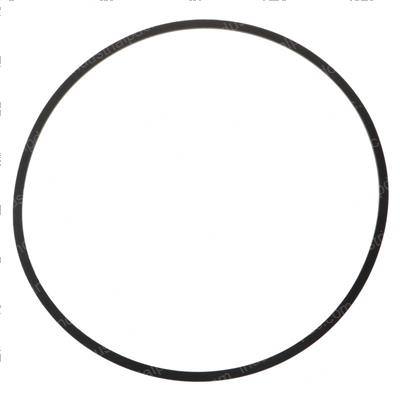Picture of Backup Ring