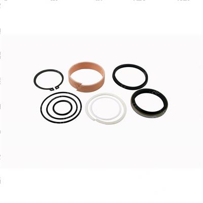 Picture of Seal Kit -  Cylinder Overhaul