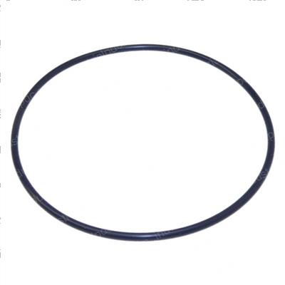 Picture of O-Ring -Bearng Holder