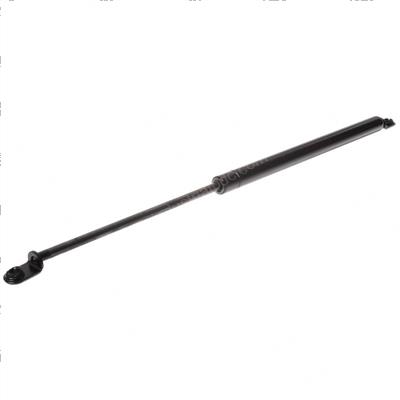 Picture of Spring - Gas