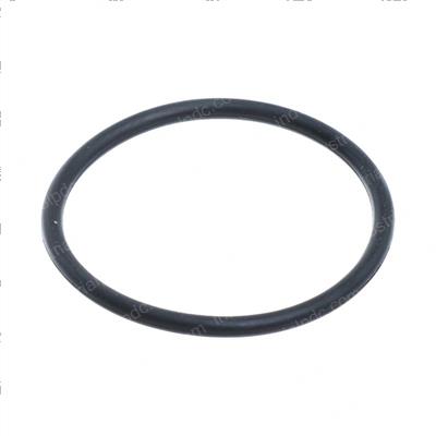 Picture of O-Ring, Pump Seal