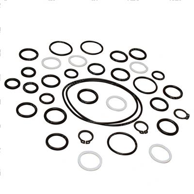 Picture of Seal Kit -  Cylinder Overhaul