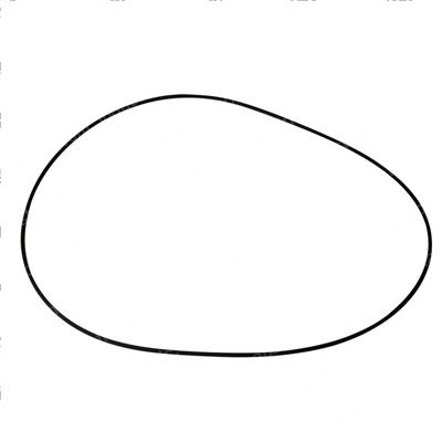 Picture of O-Ring