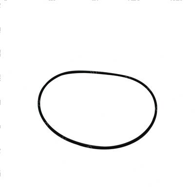 Picture of O-Ring