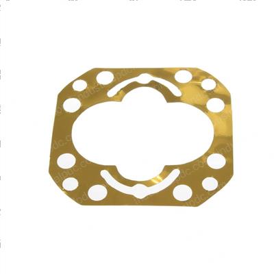 Picture of Gasket-Pump Gold