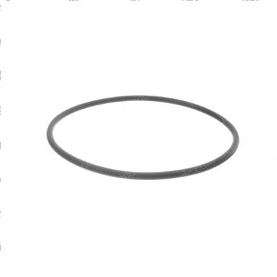 Picture of O-Ring