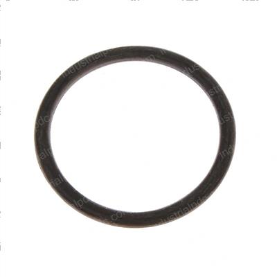 Picture of O-Ring