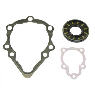 Picture of Seal Kit Drive Motor