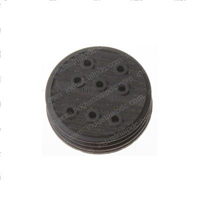 Picture of Seal