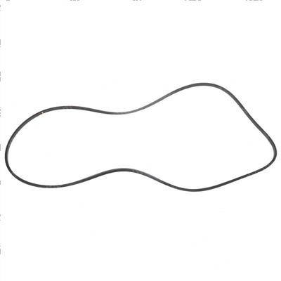 Picture of Seal